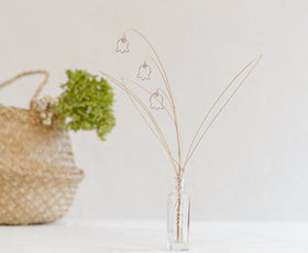 Lily of the Valley / すずらん